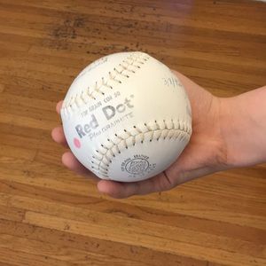 Commemorative autographed Softball